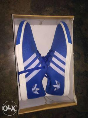 Pair Of Blue-and-white Adidas Low-tops Shoes With Box
