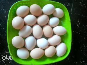 10 Karinmkozhi eggs for 300 Rupees