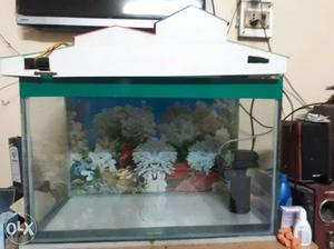 2ft 16inch fish tank,filter,& tubight