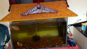 3 feet Fish tank with stones, power filter,