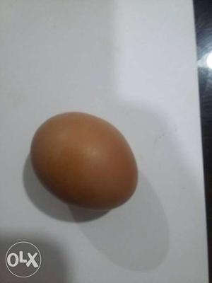 കരിങ്കോഴി മുട്ട ₹ 35 Per egg