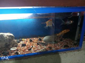 4 ft fish tank mint condition and with all
