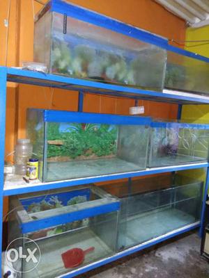 Aquariam with rack for sell