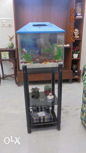 Aquarium along with table