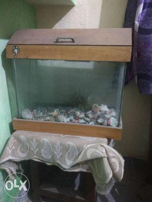 Aquarium at very low price