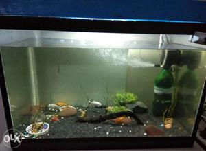 Aquarium for sale in /- with all Accessories: