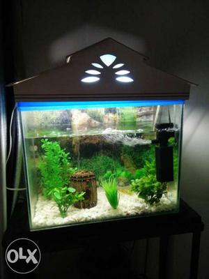 Aquarium( inch) with 5 fishes