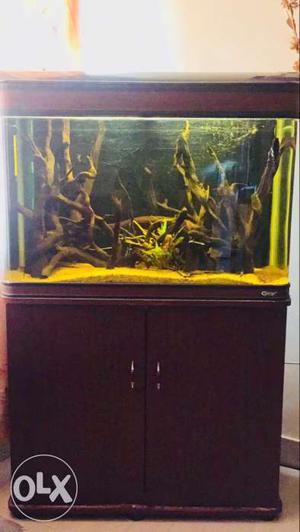 Aquarium with stand and Top Filter for sale.