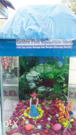 Blue Golden Fish Aquarium Shop Signage