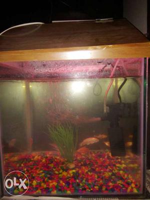 Brand new Brown Frame Fish Tank