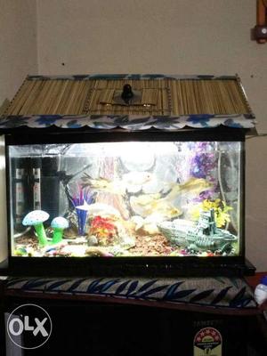 Brown And Black Framed Fish Tank With Internal Filter