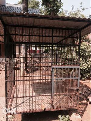 Cage for Good Dog breeds... for reasonable rate