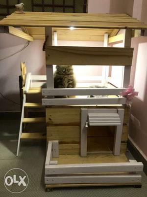 Cat house with lighting
