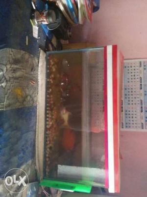 Clear Fish Tank With Red Frame