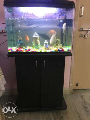 Complete fish tank with standing box and