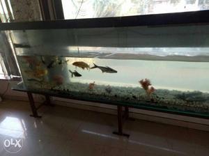 Fish Tank for sale...10 feet long 3 feet