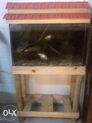 Fish Tank,stand Top,fish,stone,filter