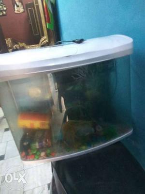 Fish aquarium in new condition