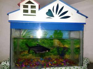 Fish tank and good condition all materials
