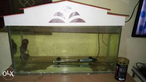 Fish tank '' heater filter fish cap violet