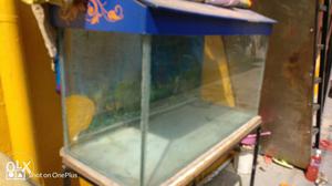 Fish tank size 3ft* 1.5ft*2ft