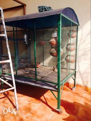 Green And Purple Metal Bird Cage