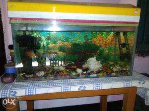 New Aquarium all set sale... just  only..