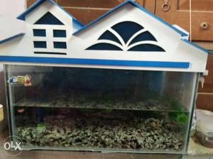 New equariarium with fishes and oxigen