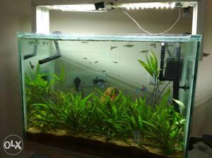 Planted tank aquarium with led lights and