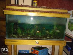 Rectangular Brown Brown Wooden Framed Fish Tank