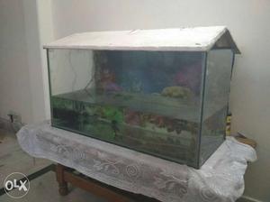 Rectangular Fish Tank With White Wooden Frame