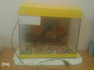 Rectangular Yellow Framed Fish Tank