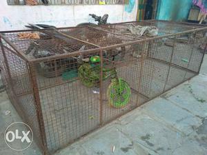 Steel Dog cage 1mx 3 m for sale in baroda