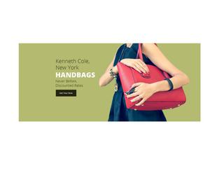Bags Wallets & Belts Online Store template build Ahmedabad
