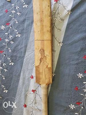 English willow bat with 2'0 inch edge fully