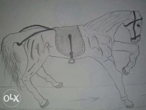 Hand made sketch of a war horse. Brings good luck