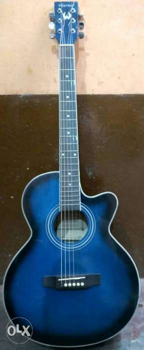 Orignal imported Warner Acoustic guitar,,new condition.