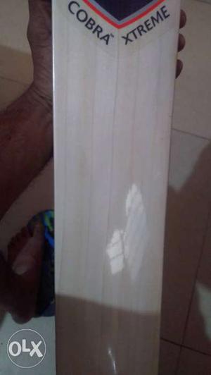 SG cobra extreme cricket bat