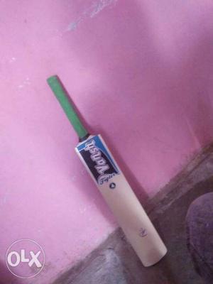 White And Green Cricket Paddle