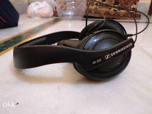 Black Sennheiser Headphone