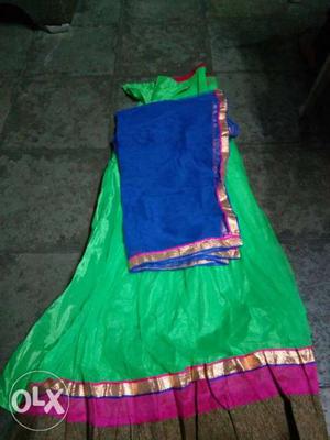 Blue Dupatta Scarf And Green Sari Dress