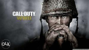 Call of duty ww2 pc game pendrive or external hdd