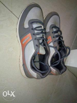 Campus shoes (size:8)