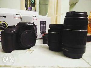 Canon d for sale. Full kit and just 7 months