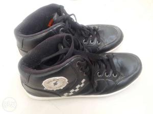 SPARX original Sneaker Shoes(India Size 10).Black