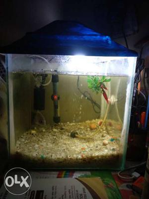 1 by 1 aquarium perfect condition with filter or