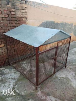 4×4 feet dog cage with fiber. Interested people