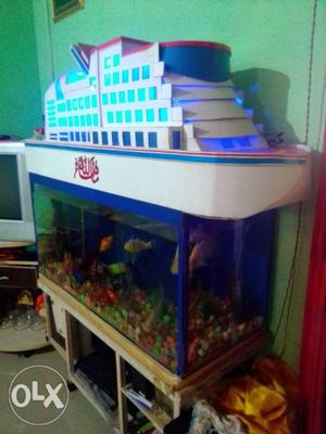 All things in fish tank with ship
