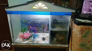 Aquarium for sale