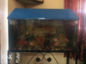 Aquarium grt condition with iron stand.. 3 feet